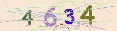 CAPTCHA validation image