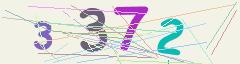 CAPTCHA validation image