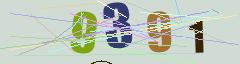CAPTCHA validation image