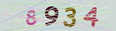 CAPTCHA validation image