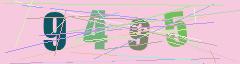 CAPTCHA validation image