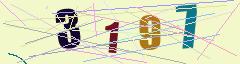 CAPTCHA validation image