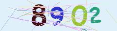 CAPTCHA validation image