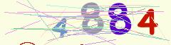CAPTCHA validation image