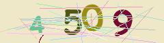 CAPTCHA validation image