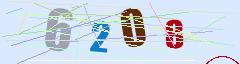 CAPTCHA validation image