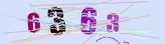 CAPTCHA validation image