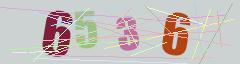 CAPTCHA validation image