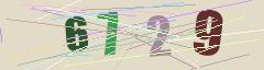 CAPTCHA validation image