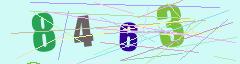 CAPTCHA validation image