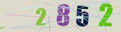 CAPTCHA validation image