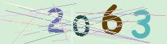 CAPTCHA validation image
