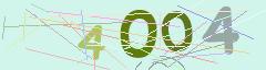 CAPTCHA validation image
