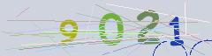 CAPTCHA validation image