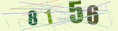 CAPTCHA validation image