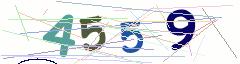 CAPTCHA validation image