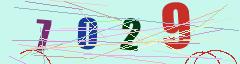 CAPTCHA validation image