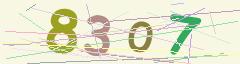 CAPTCHA validation image