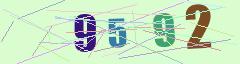 CAPTCHA validation image