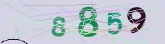 CAPTCHA validation image