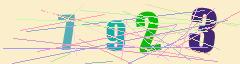 CAPTCHA validation image