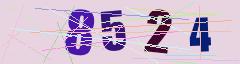 CAPTCHA validation image