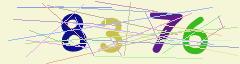 CAPTCHA validation image