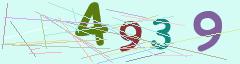 CAPTCHA validation image