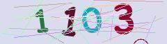 CAPTCHA validation image