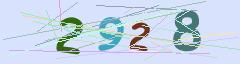 CAPTCHA validation image