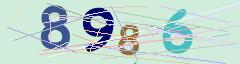 CAPTCHA validation image