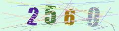 CAPTCHA validation image