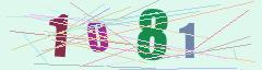 CAPTCHA validation image