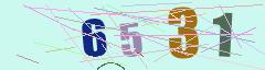 CAPTCHA validation image