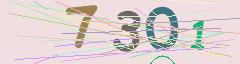 CAPTCHA validation image