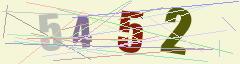CAPTCHA validation image