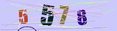 CAPTCHA validation image