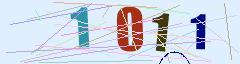 CAPTCHA validation image