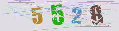 CAPTCHA validation image