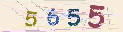 CAPTCHA validation image