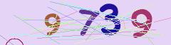 CAPTCHA validation image