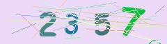 CAPTCHA validation image