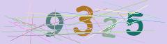 CAPTCHA validation image