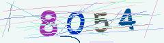 CAPTCHA validation image