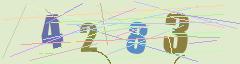 CAPTCHA validation image