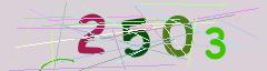 CAPTCHA validation image