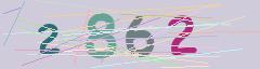 CAPTCHA validation image