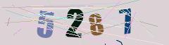 CAPTCHA validation image