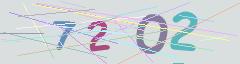 CAPTCHA validation image