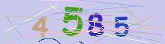 CAPTCHA validation image